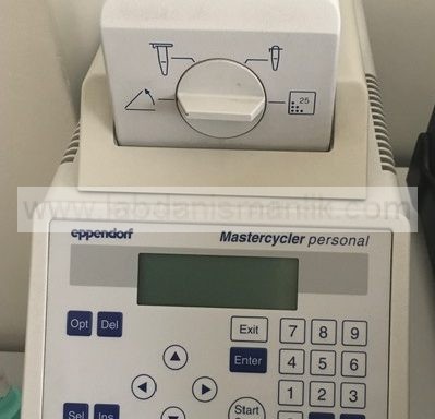 Thermal Cycler – PCR Machine – Eppendorf Mastercycler Gradient – 24 lük – 2. EL