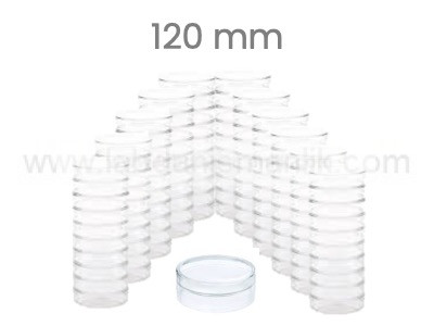 PETRİ KABI – Cam Petri Kabı 120 mm – Petri Kutusu Petri Dish 100 Adet/koli