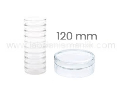 PETRİ KABI – Cam Petri Kabı 120 mm – Petri Kutusu Petri Dish