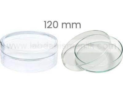 PETRİ KABI – Cam Petri Kabı 120 mm – Petri Kutusu
