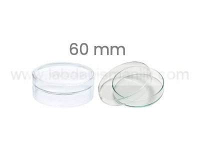 PETRİ KABI – Cam Petri Kabı 60 mm – Petri Kutusu