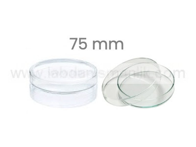 PETRİ KABI – Cam Petri Kabı 75 mm – Petri Kutusu